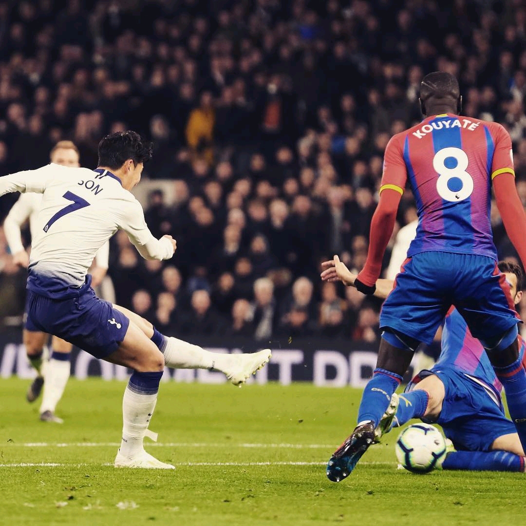 红牛的现有 红牛的现有